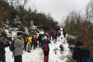 Bursalılar İznik'i adım adım keşfetti