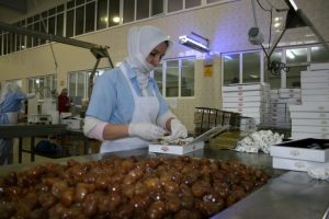 Bursa'dan yurt dışına 75 ton kestane şekeri ihra&ccedil; edilecek