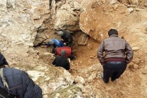 Kayalıklara sıkışan k&ouml;pek 8 g&uuml;n sonra kurtarıldı