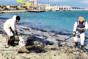 '&Ccedil;eşme'deki felaketin izi 2 ayda temizlenemez'