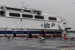 İDO yılbaşına &ouml;zel seferler d&uuml;zenleyecek