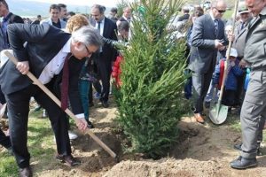 Bursalılara 'Yıl başında ağa&ccedil; kesme fidan dik' &ccedil;ağrısı