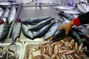 Balık fiyatları altınla yarışıyor