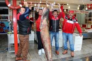Balık&ccedil;ılardan 3 b&uuml;y&uuml;k av