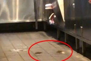 D&uuml;nyaca &uuml;nl&uuml; fast food zincirinde 'fare skandalı'