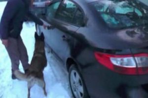 Otomobilden 713 uyuşturucu hap &ccedil;ıktı