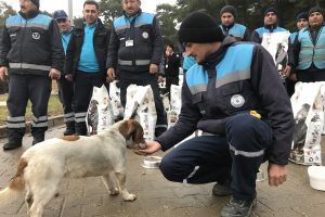 Bursa'da sokak hayvanları unutulmadı