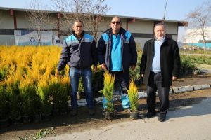 Bursa Nil&uuml;fer Belediyesi 19 bin fidanı &uuml;cretsiz dağıtıyor