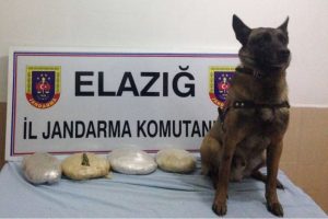 Trenin tuvaletinden uyuşturucu &ccedil;ıktı