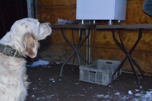 K&ouml;peği a&ccedil; kalmasın diye zaman ayarlı makine yaptı