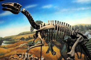 Dinozorların yumurtadan 3 ila 6 ayda &ccedil;ıktığı belirlendi