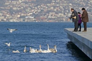 İstanbul Boğazı'nın yeni misafirleri