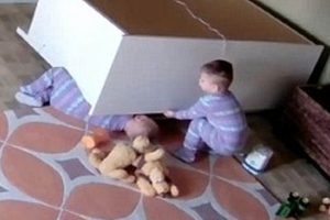 'Milyonlarca kez izlenen video viral reklam' iddiası