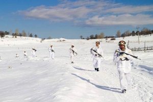 Karadeniz yaylalarında b&uuml;y&uuml;k operasyon