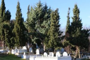 Orman alanını 'ka&ccedil;ak mezarlık' yapıp parsel parsel sattılar