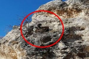 Askerler, PKK mağaralarına girdi