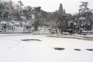 Yıldız Parkında g&ouml;let buz tuttu