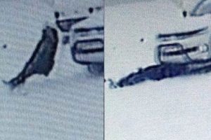 Karda kayıp kamyonetin altında kaldı