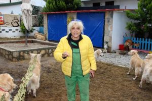 'Golden &Ccedil;etesi'ni sahiplendiğine pişman ettiler