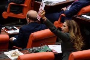 AK Partili vekillerden 'Dikkat! K&ouml;pek giremez' yazısı