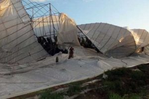 Mersin'de afetzede &ccedil;ift&ccedil;inin sigorta prim bor&ccedil;ları ertelendi!