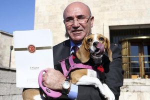 CHP'li Tanal k&ouml;peğiyle basın toplantısı d&uuml;zenledi