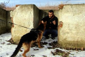 Bursa'da bu k&ouml;pekler aldıkları eğitimle karda kaybolanları b&ouml;yle buluyor