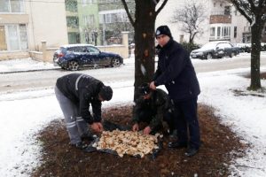 Camiden anons yapıp doğaya yem bıraktırıyor