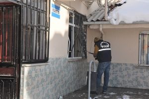 Bursa'da &ouml;zel ekiple yakalanan kantin fareleri serbest bırakıldı