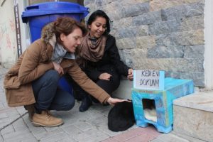 İki esnafın kedi tartışması BİMER'e taşındı