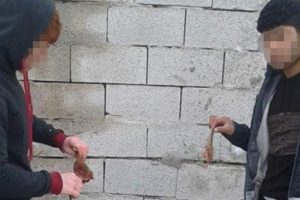 Yavru k&ouml;peğin kulağını kesip videoya &ccedil;ektiler
