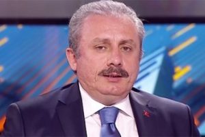 Şentop: Kılıçdaroğlu'nun da ikna olacağını düşünüyorum