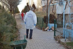 &Ouml;ld&uuml;rd&uuml;ğ&uuml; arkadaşının cesedini el arabasıyla taşıdı