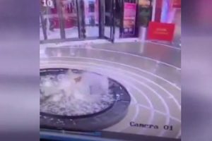 Cep telefonu tutkusu havuza d&uuml;ş&uuml;rd&uuml;