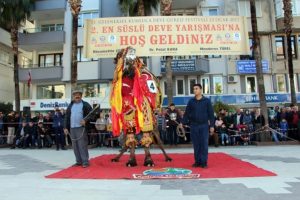 En s&uuml;sl&uuml; deve yarışmasını 'Kanka' kazandı