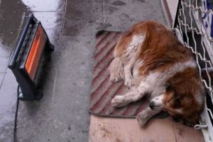Kırıkkale'den g&ouml;renin i&ccedil;ini ısıtan fotoğraf