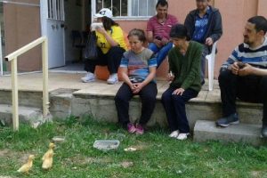 Engelli &ouml;ğrencilerin &ouml;rdeklerini &ccedil;aldılar