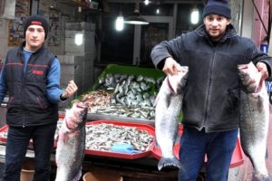 15 kiloluk levrekler tezgahta