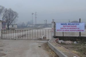 Bursa'da iki mahalleye şap karantinası