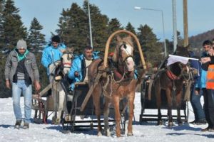 Bursa Uludağ'da geleneksel kızak heyecanı