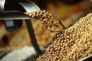 'Zam şampiyonu' nohut olunca leblebinin de fiyatı y&uuml;kseldi