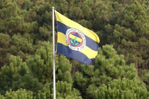 Fenerbah&ccedil;e'ye 225 bin lira ceza