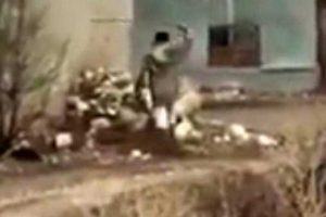 K&ouml;peğini sopayla d&ouml;ven &ccedil;obana soruşturma