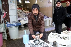 Hamsinin fiyatı 20 liraya &ccedil;ıktı
