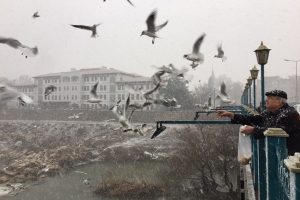 Bursa'da karda yaban hayvanlarını beslediler