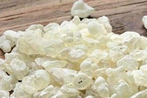 Damla sakızı yeni gelir kapısı olacak