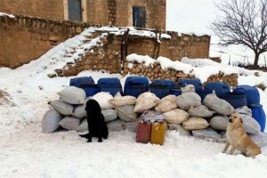 Mardin'de yola d&ouml;şenmiş el yapımı patlayıcı imha edildi