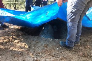 Bursa İznik'te zeytinlikte lahit bulundu
