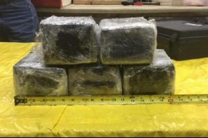 Amerikan Havayolları u&ccedil;ağının burnunda 14 kilo kokain yakalandı