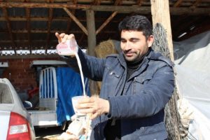 Tartışmaların yaşandığı s&uuml;t sekt&ouml;r&uuml;nde &uuml;retici isyanda